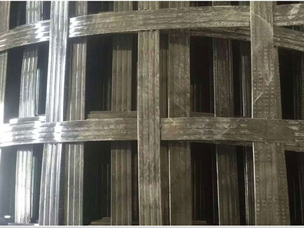 Steel-plastic geogrid case