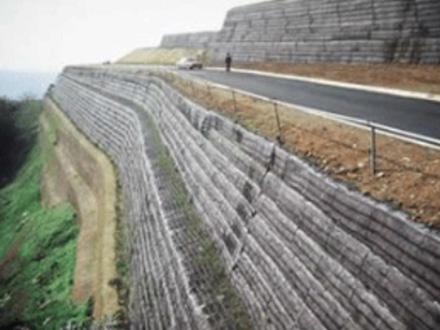 Plastic single and two-way geogrid case