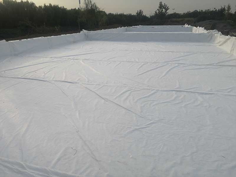 Geomembrane case